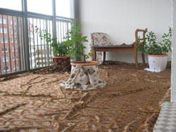 Frühlingslounge über den Dächern von Berlin